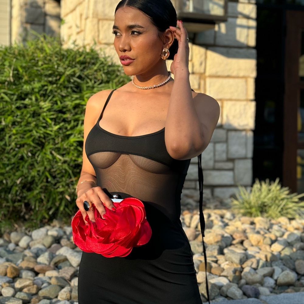 Black Mesh Dress with Red Rose Clutch